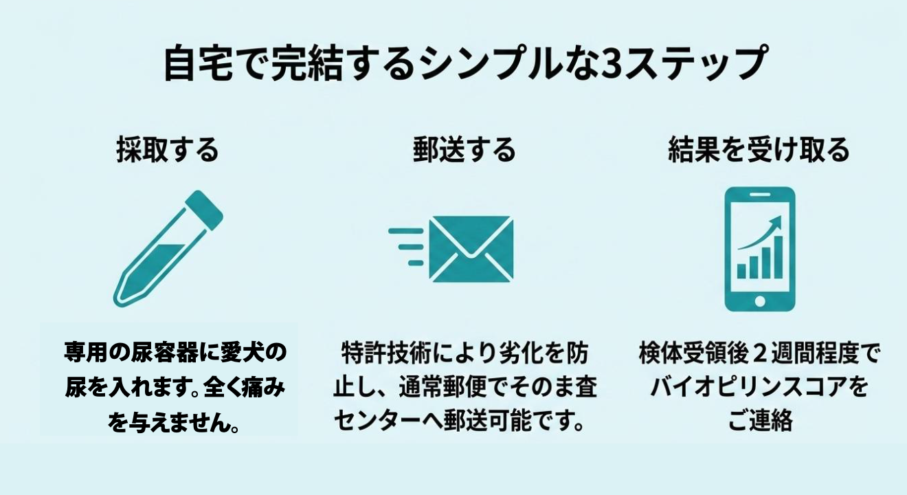 自宅で完結するシンプルな3ステップ