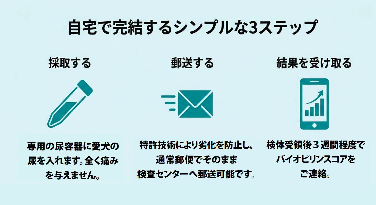 自宅で完結するシンプルな3ステップ
