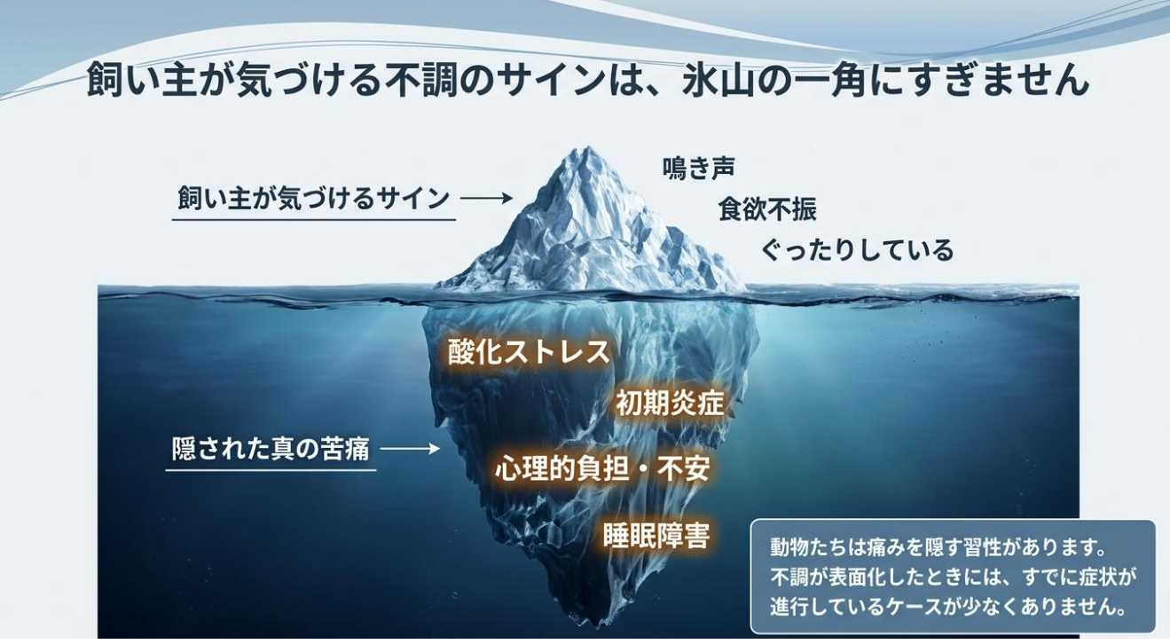 飼い主が気づける不調のサインは、氷山の一角にすぎません